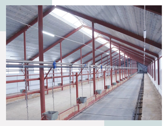 Строительство коровников в Еманжелинске от 616 руб.